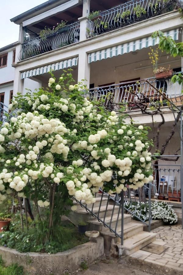 Apartments And Rooms By The Sea Rovinj - 19183 Экстерьер фото